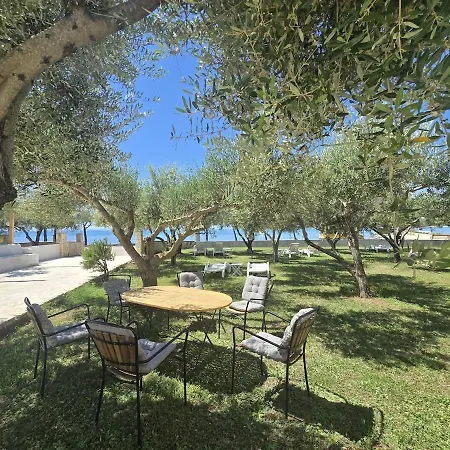Lejlighed Olea 1930 - Beachfront 1-bedroom