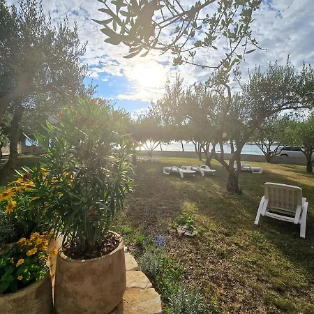Olea 1930 - Beachfront 1-bedroom * Zaton (Zadar)