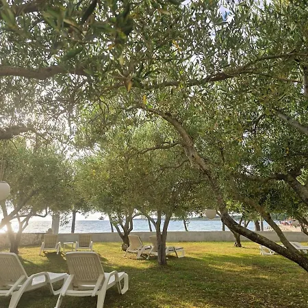 Olea 1930 - Beachfront 1-bedroom Lejlighed Zaton (Zadar)